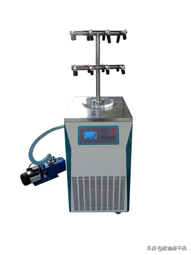 t型真空冷冻干燥机,实验室真空冷冻干燥机生产