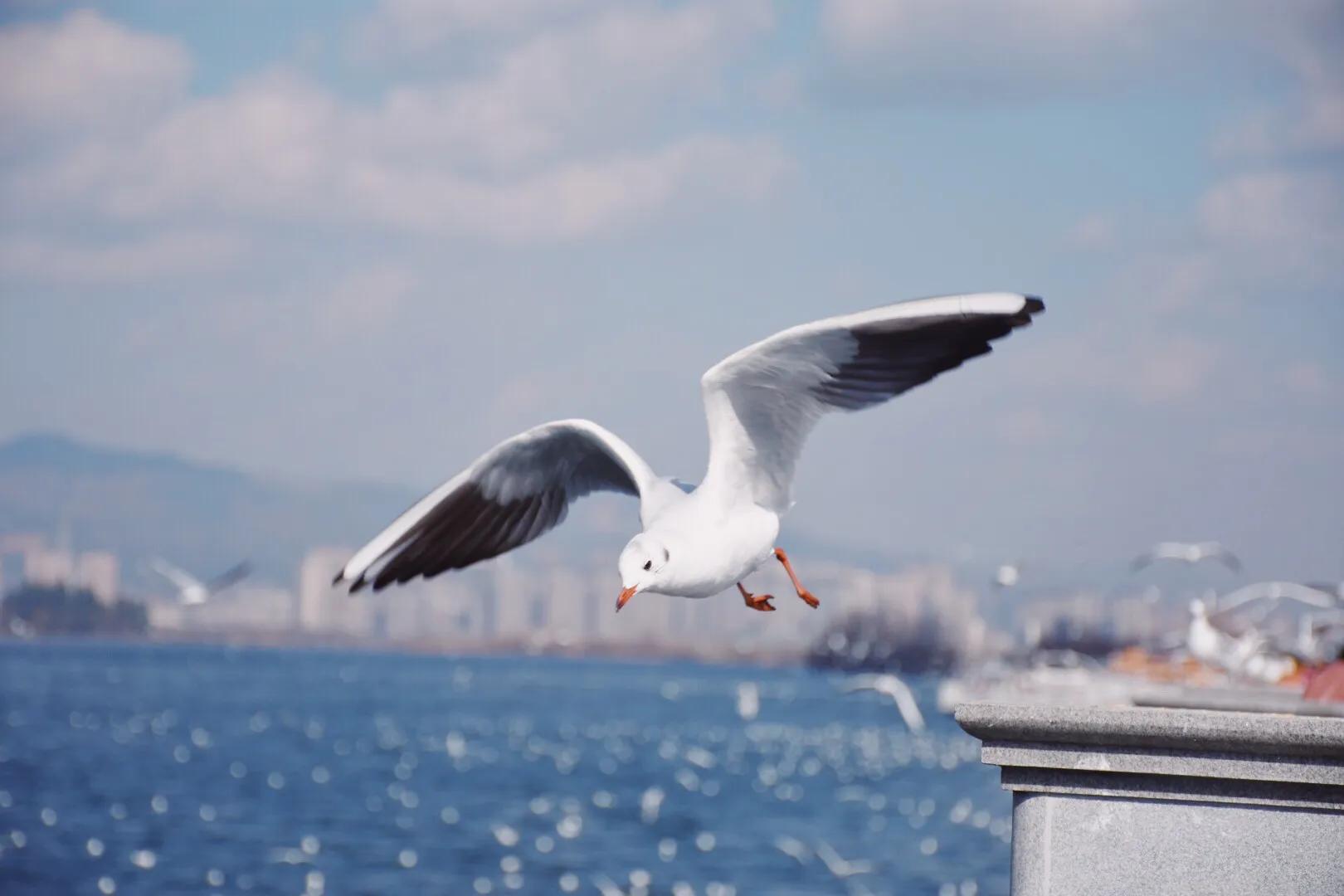高考择校之我为什么选择云南大学