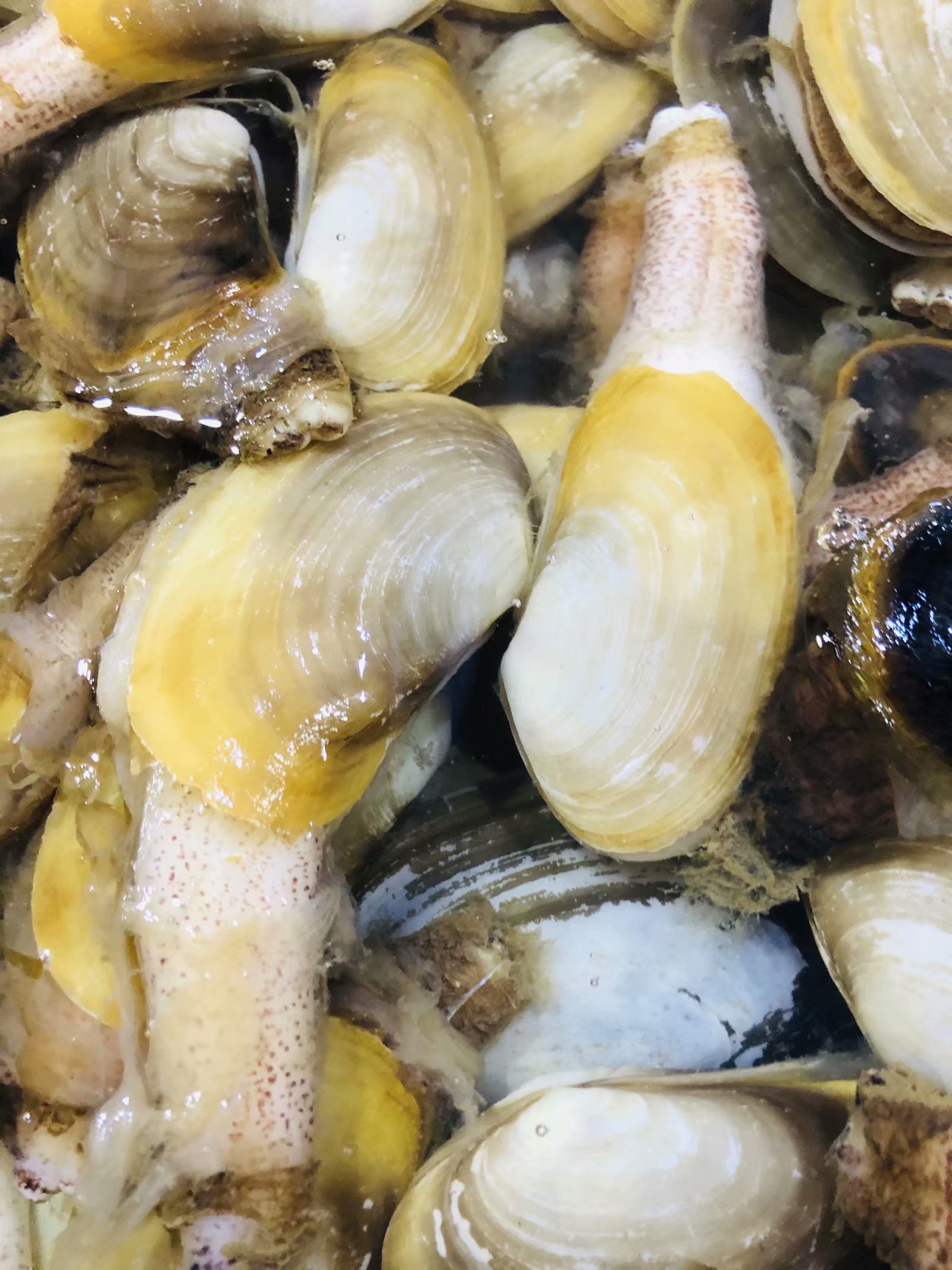 成都夫妻7天花5000玩遍涠洲岛（最后有防踩坑攻略）