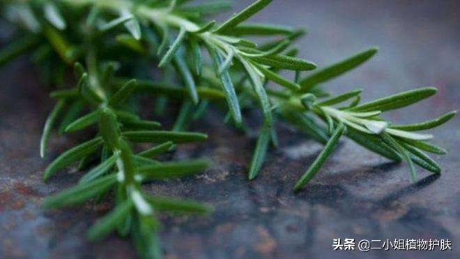 纯露初学者入门教程,十大公认好用的纯露