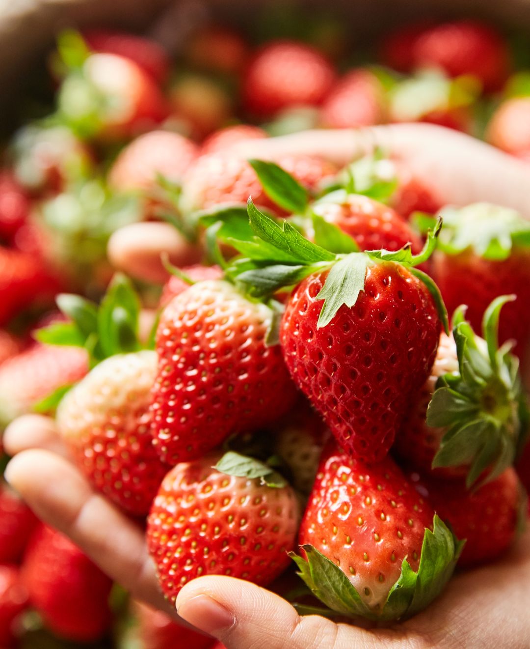 怎样才能快速去草莓上的果蔬农残,草莓去农残的正确方法