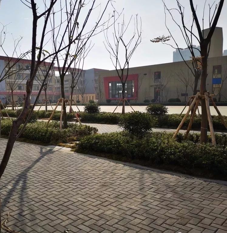 成贤街小学规划,成贤街小学新校区