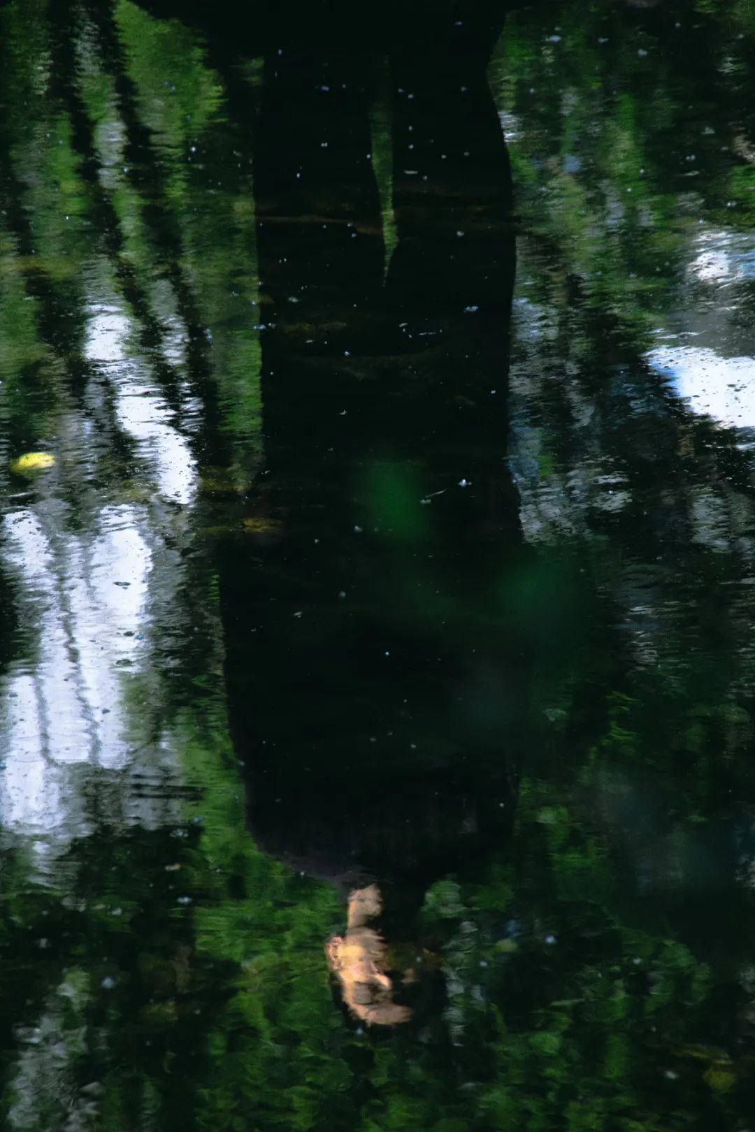 招待会音乐节,招待会电子音乐节2019