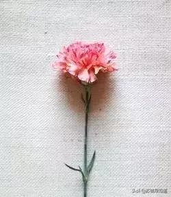 撩妈攻略：夏装上市，全场6折起？1000抵100再叠券券券！