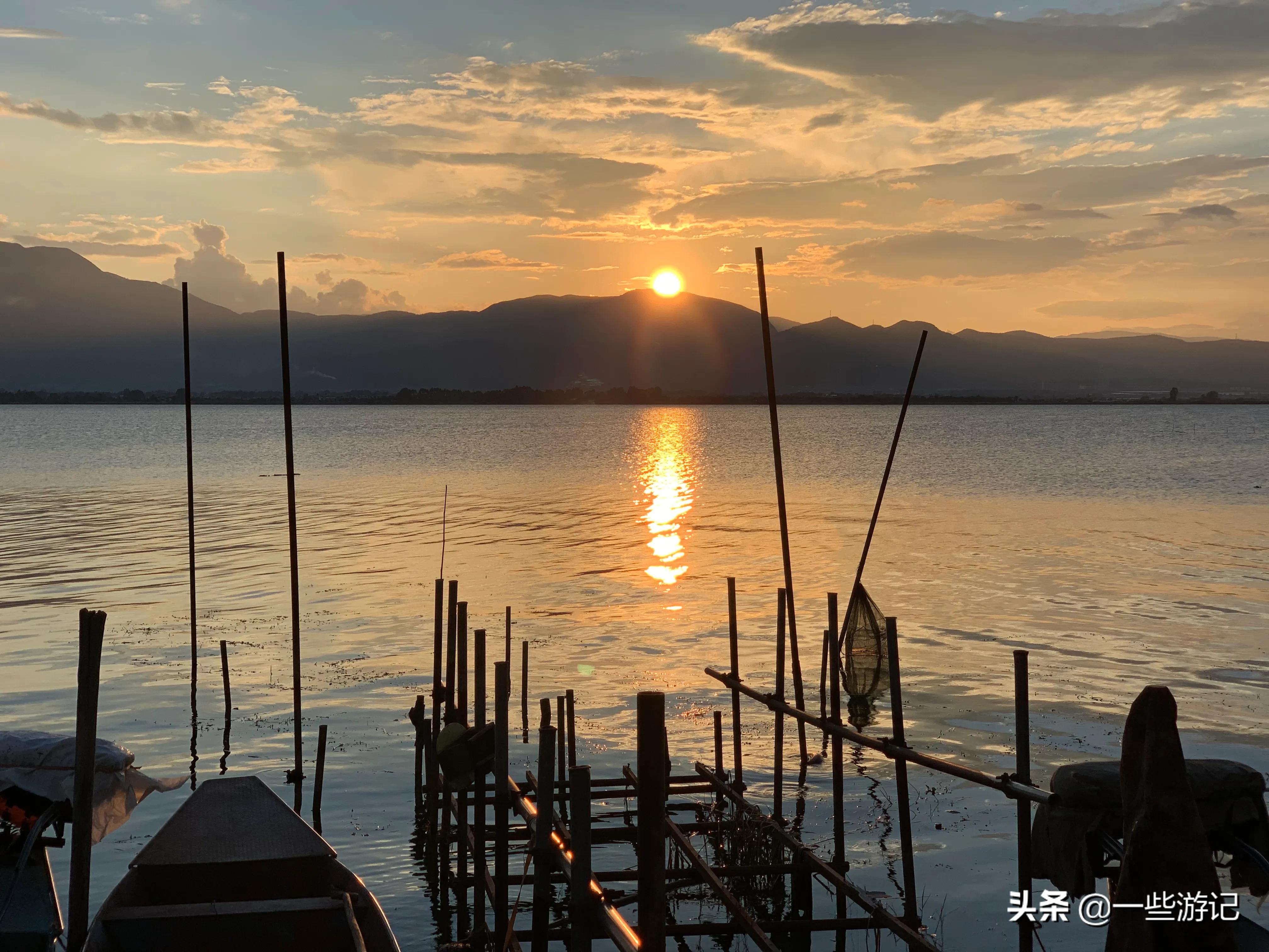 蒙自尼苏小镇大屯海蓝花楹,蒙自大屯海尼苏小镇
