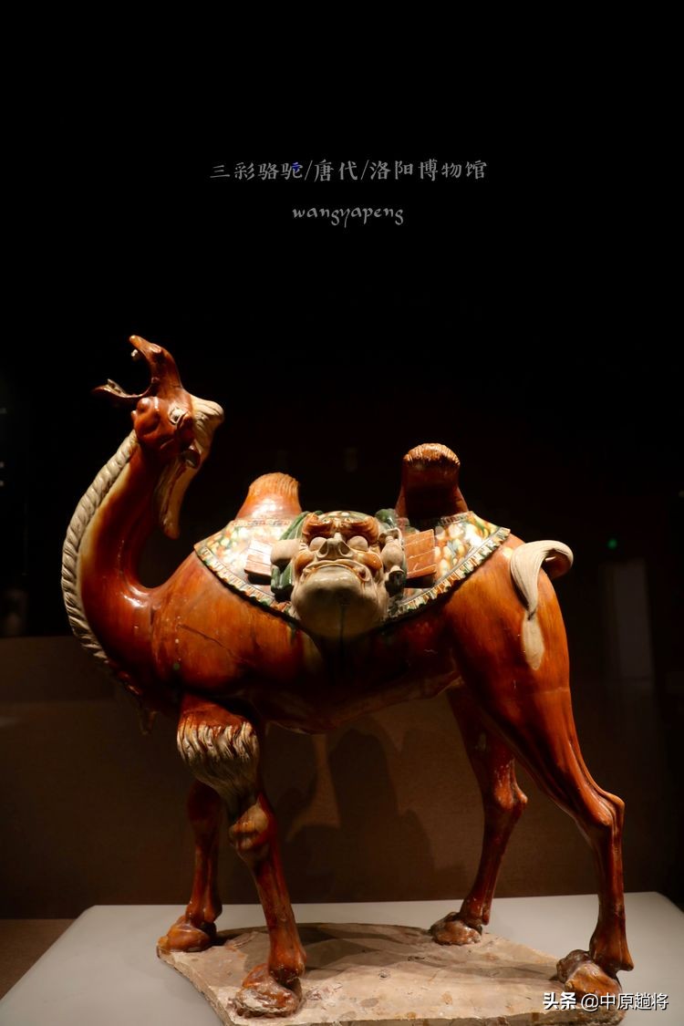 洛阳博物馆专门为二十多件珍宝成立了一个展馆