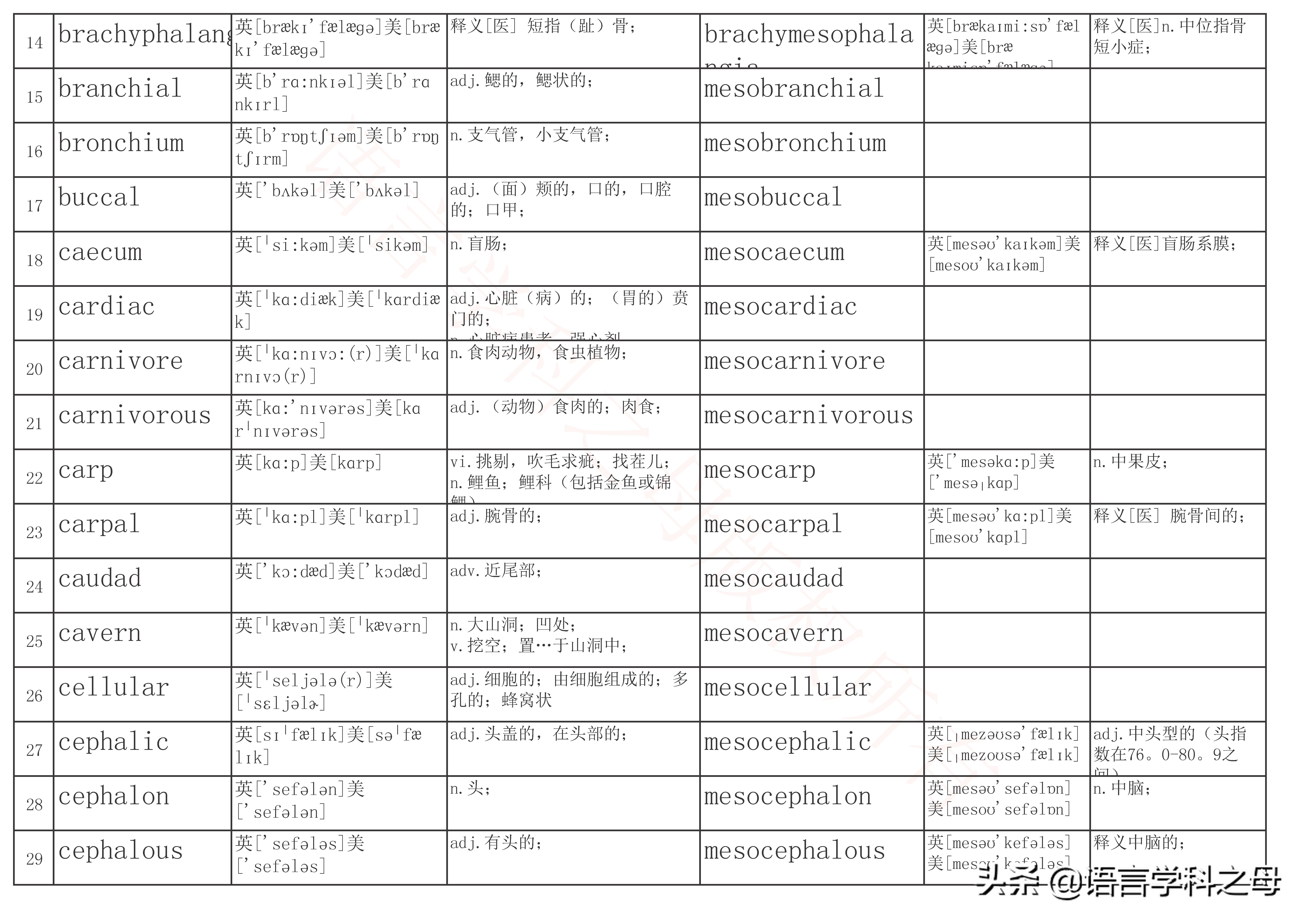 mid为前缀常见的单词,mid为前缀的单词有哪些