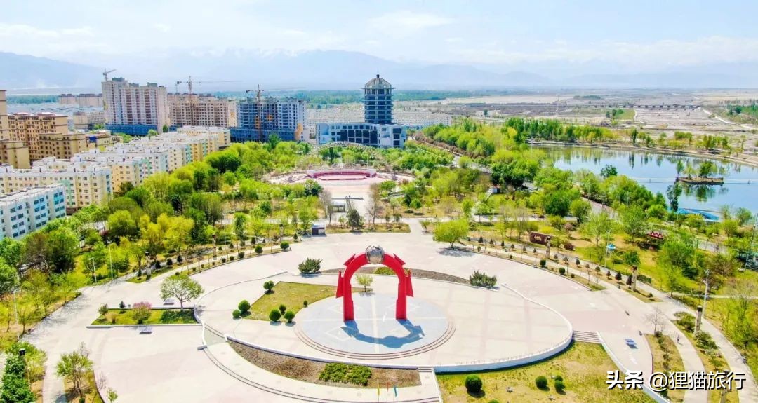 新疆的精河县,新疆精河枸杞乌鲁木齐