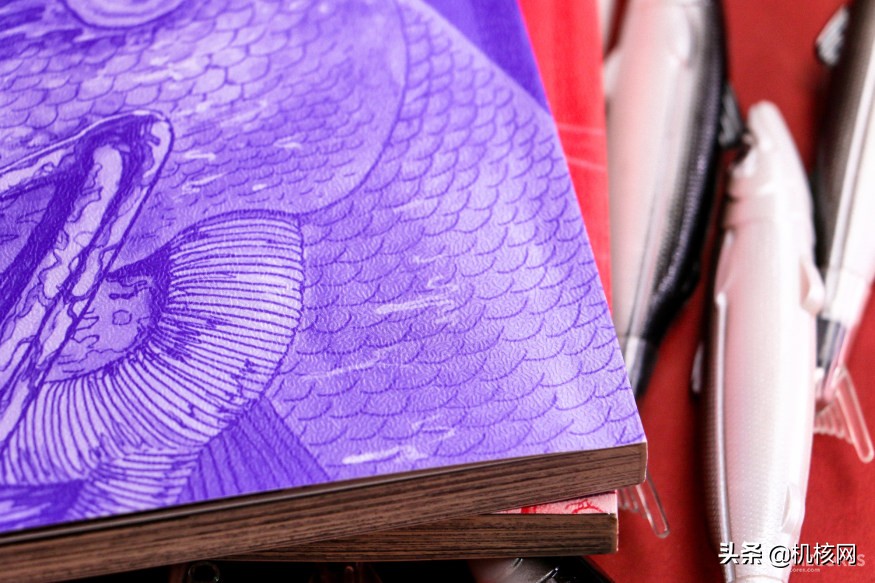 伊藤润二毛骨悚然的鱼去哪里看,伊藤润二鱼深层解析