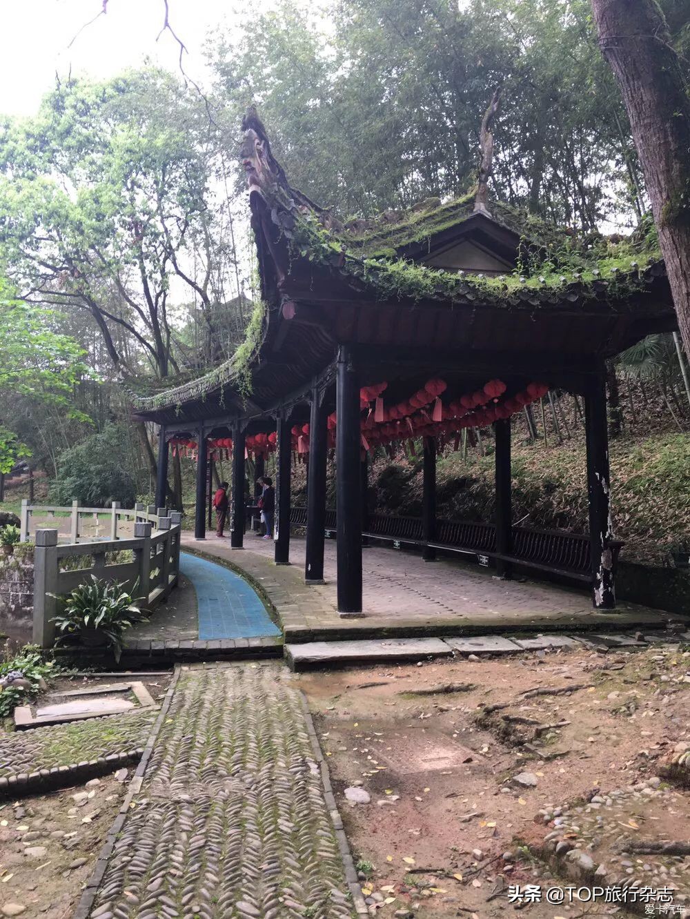 李白关于夜郎诗句,李白夜郎国的诗