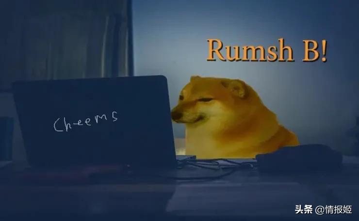 被做成表情包的柴犬doge,doge柴犬表情包万恶之源