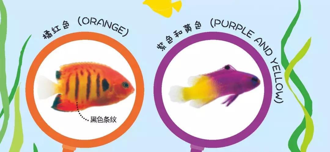 被封神的DK儿童科普书籍，到底哪些值得读？建议家长入手前看这篇