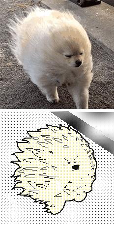 朋友圈九宫格喜感视频,开心到模糊的搞笑动图