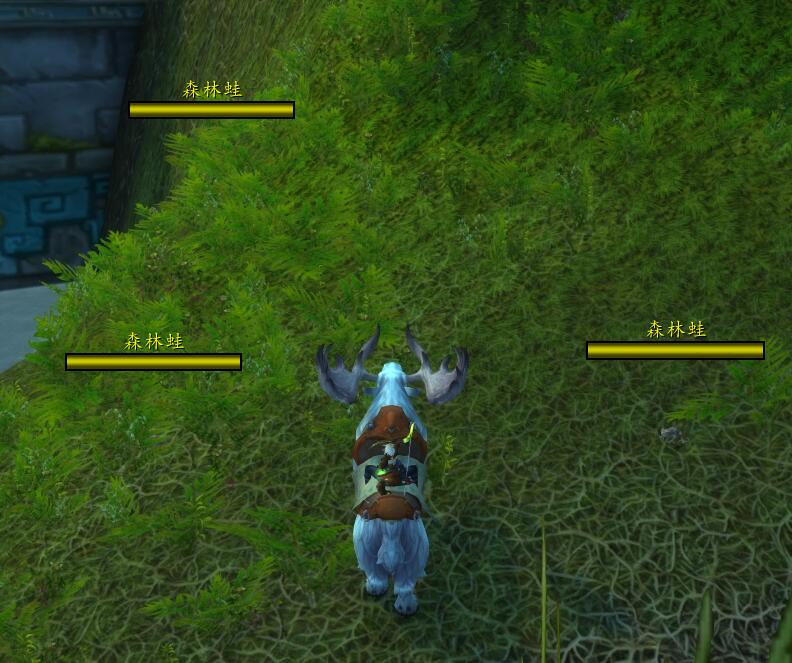 魔兽世界祖阿曼战熊怎么获得,魔兽世界战熊坐骑多少g