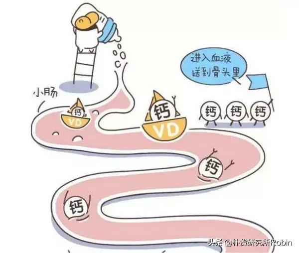 儿童要买什么牌子的钙片好,正规好的钙片怎样辨别