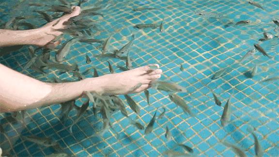 城阳高端温泉,城阳温泉体验馆