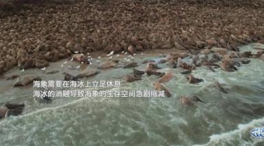 笑完后才发现的真实事件,笑完后才发现原来说的那么真实