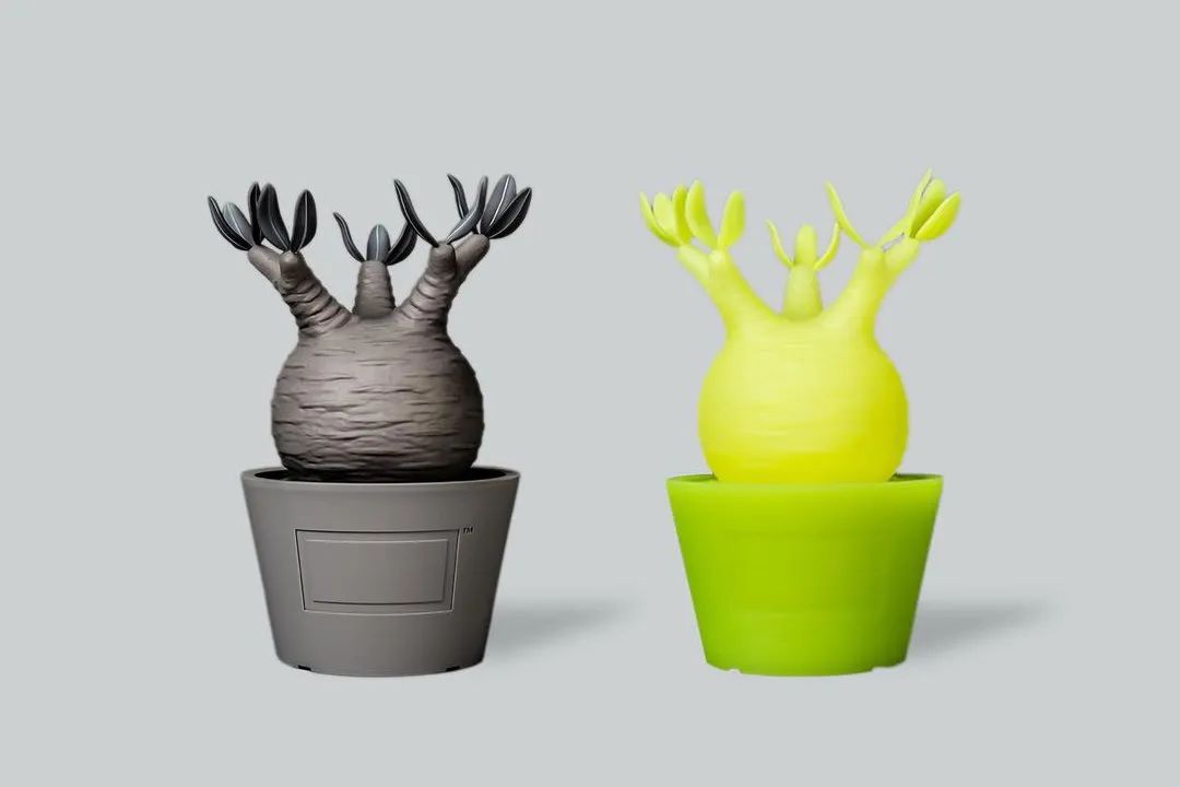 金盆洗手吧，植物杀手们