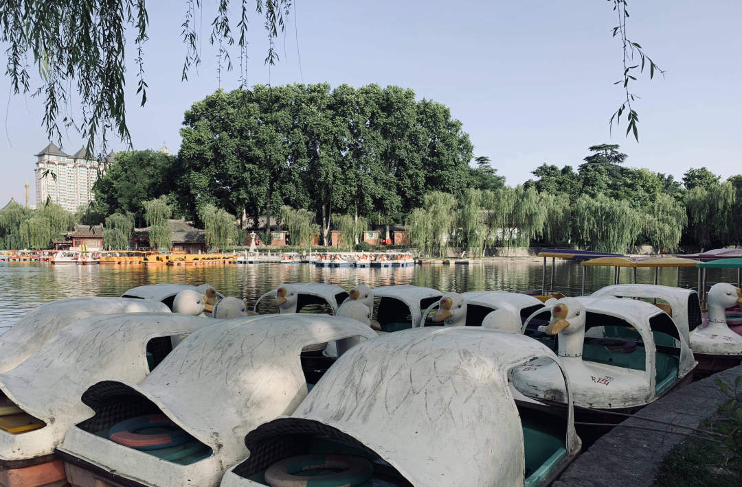 最美的西安兴庆公园,西安兴庆公园一道美丽的风景线