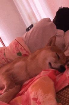 开心一刻gif下雨天,搞笑gif笑到肚子疼意外瞬间特辑