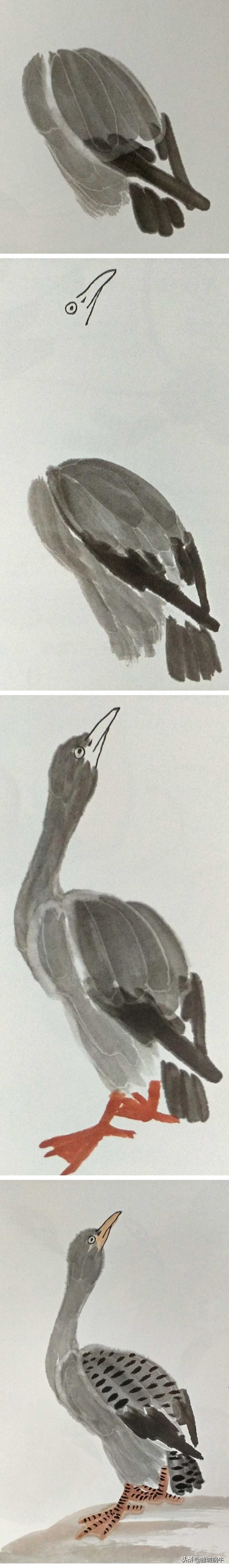 一学就会的禽鸟画法书,禽鸟的画法大全图解