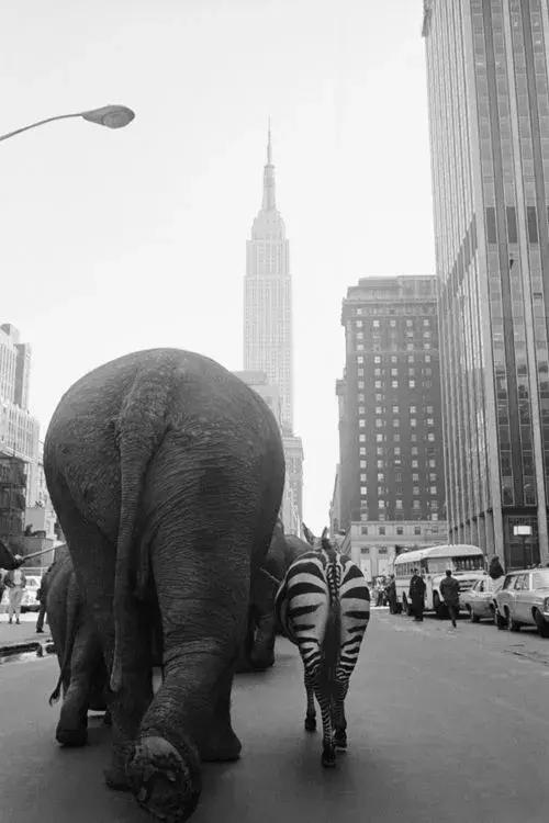 成功家庭教育的十大法则,成功的家庭教育的共性问题