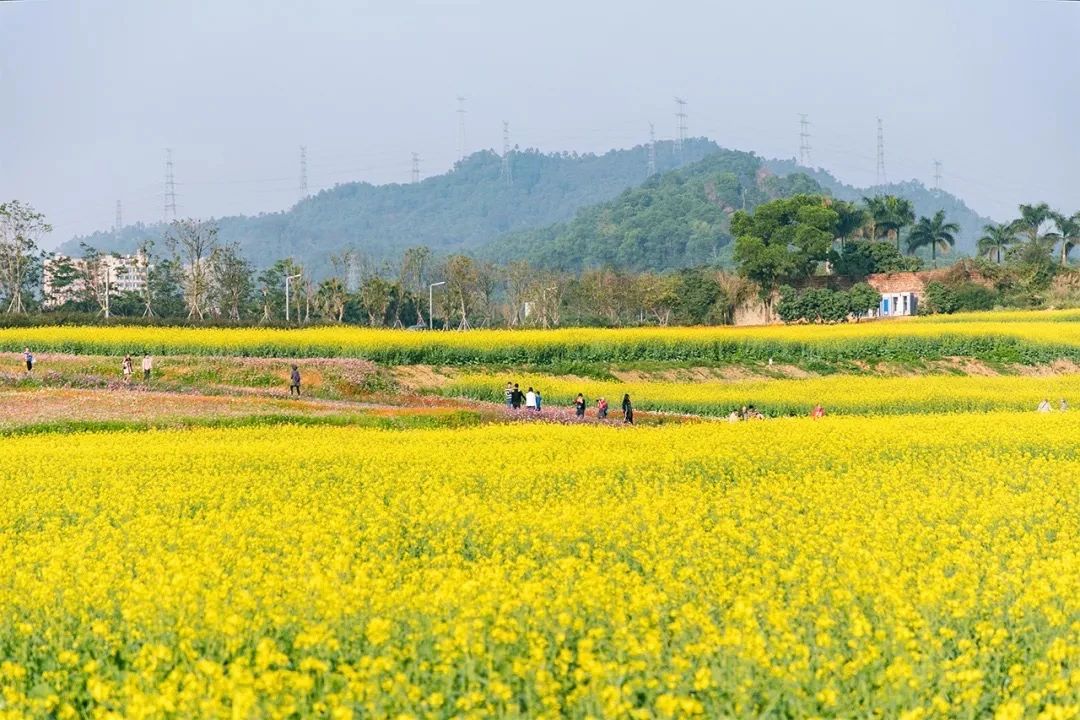 深圳周末浪漫好去处,深圳浪漫约会地点十个景点