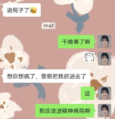 钢铁直男遇上钢铁直女是什么电影,钢铁直男和钢铁直女组合叫什么