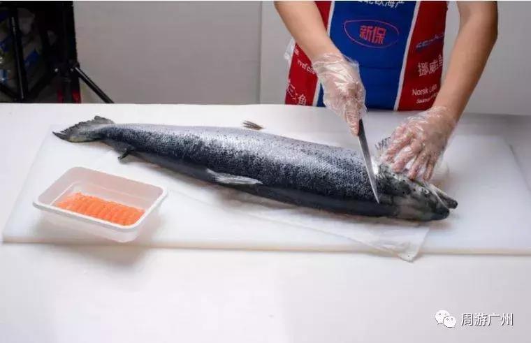 深圳挪威三文鱼官网价格,永鲜挪威三文鱼