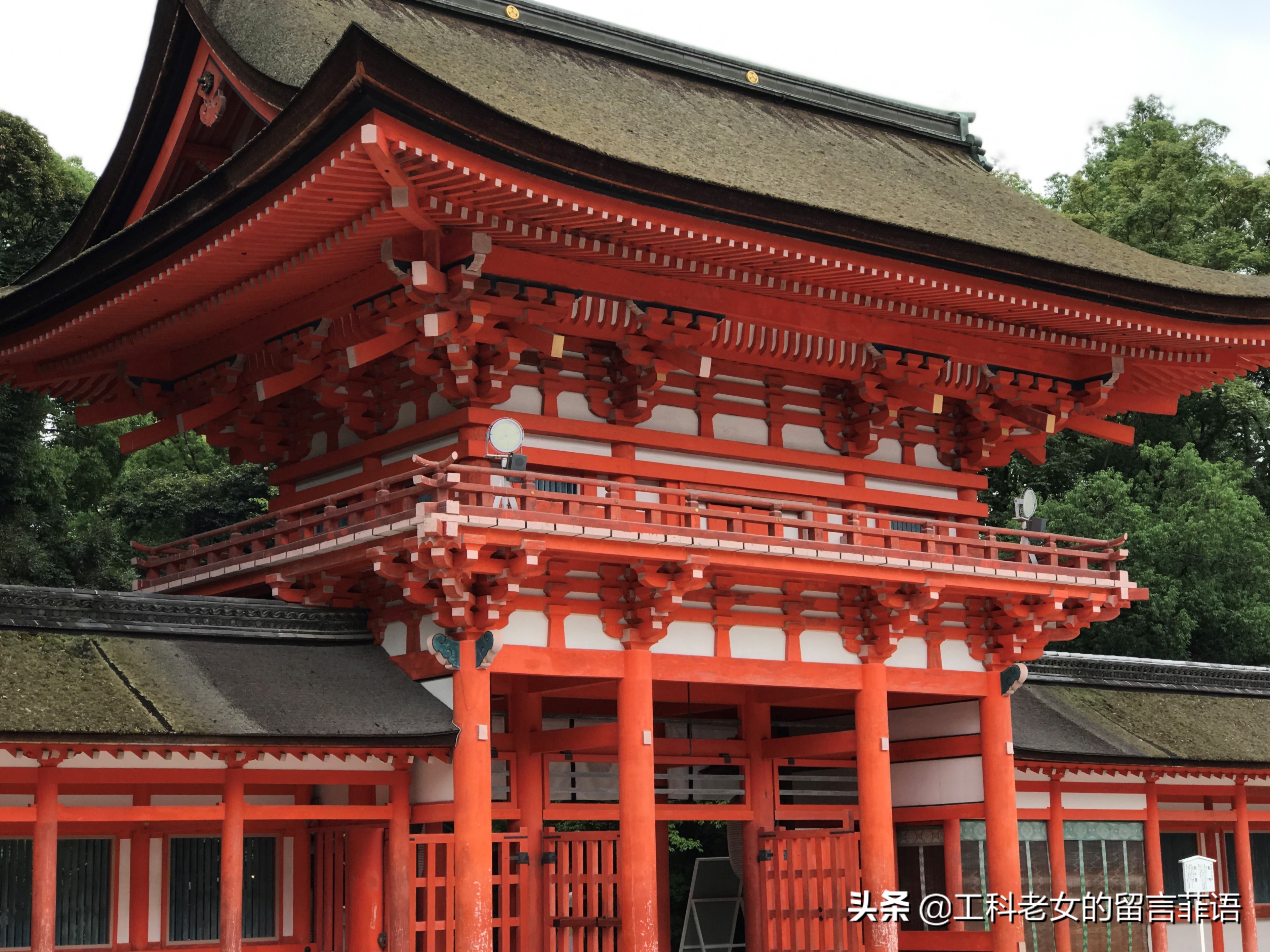 夏天去京都注意哪些事项,盛夏去哪玩