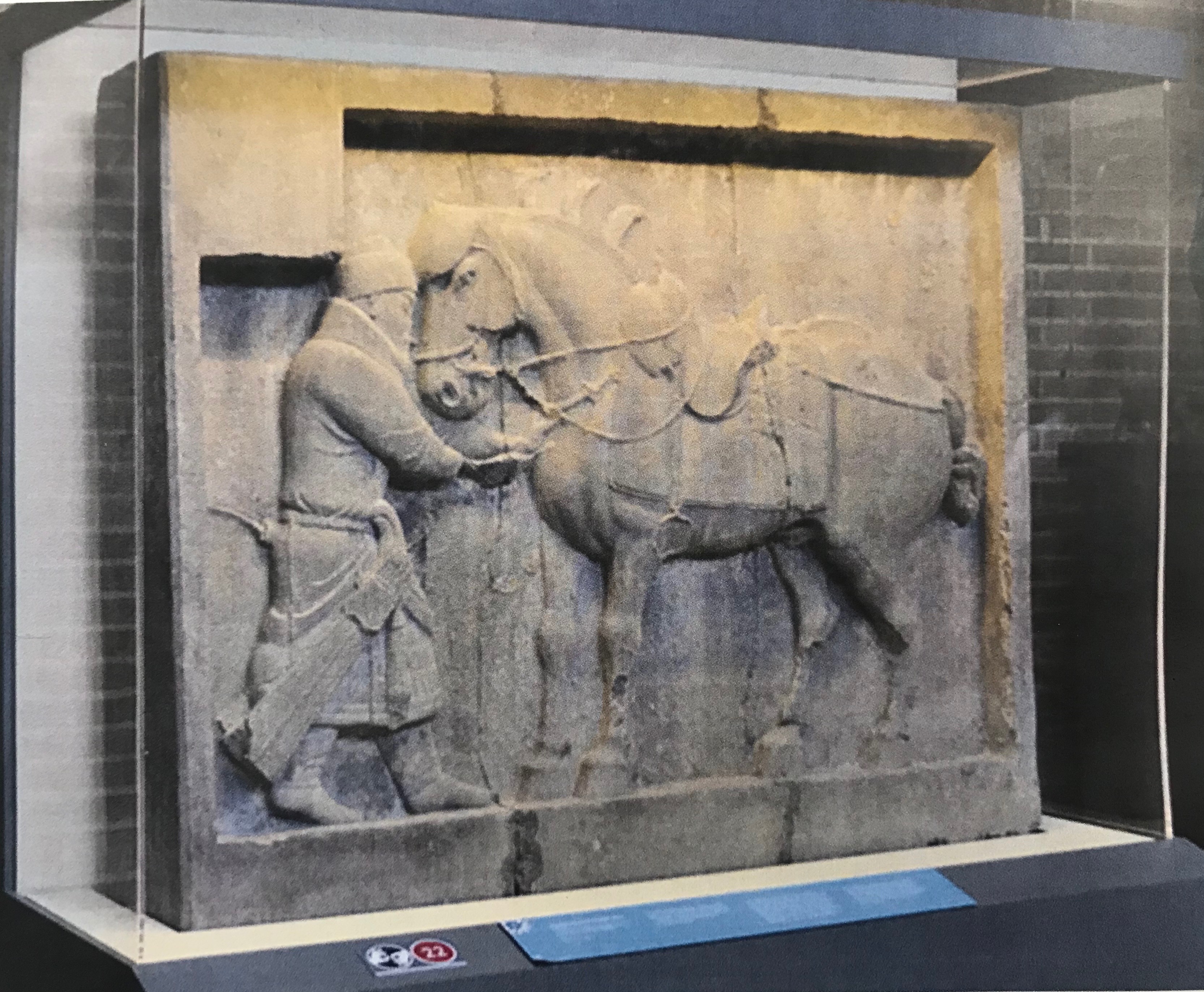 中国富豪在海外是好是坏,中国富人海外资产曝光