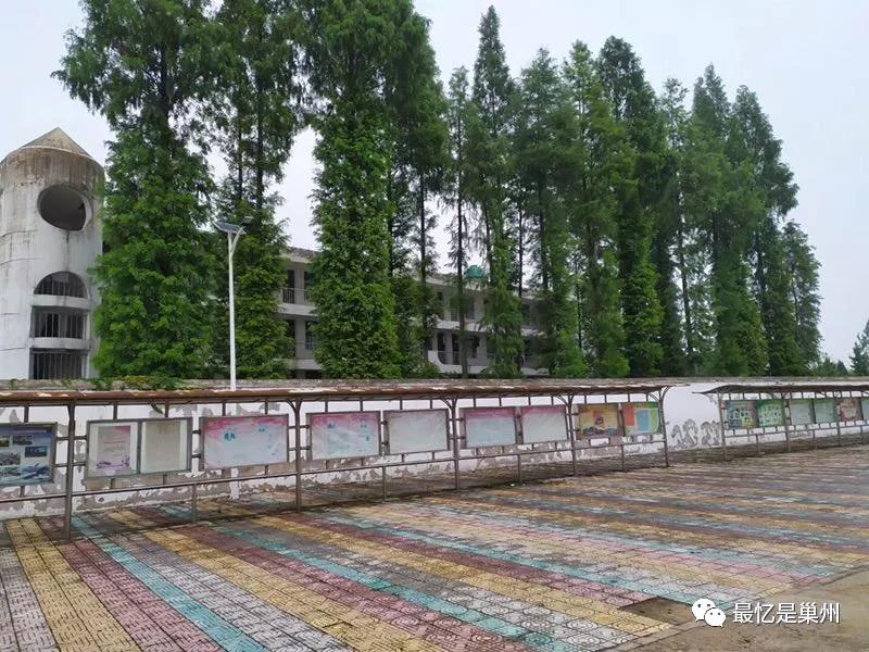 靳清华,靳清华最新视频