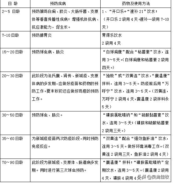 乌骨鸡哪个品种好养殖,乌骨鸡的价格视频