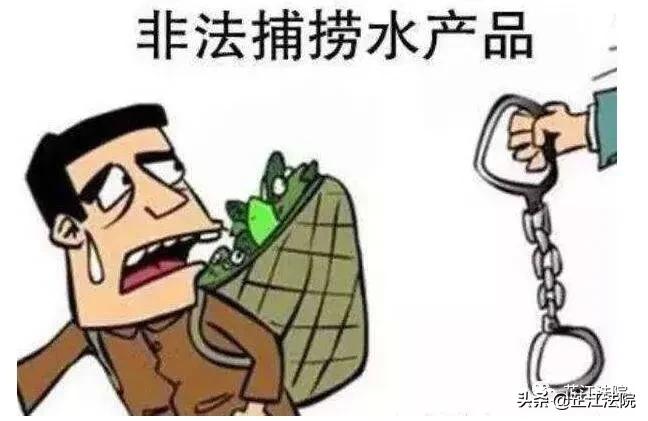 重庆禁渔期电鱼处罚,四川禁渔期电鱼有什么处罚