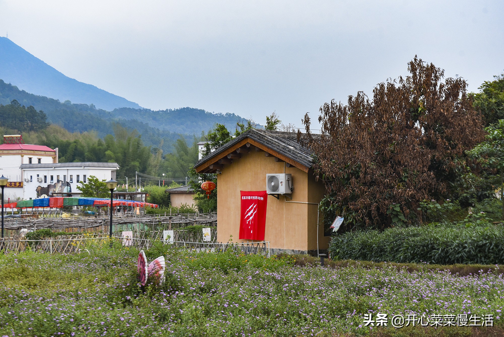 五一适合去哪旅游广东汕尾,五一去汕尾好玩地方