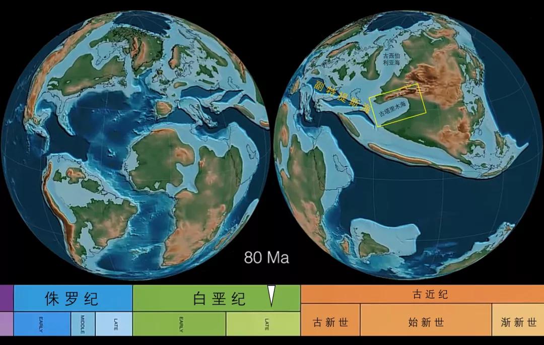 新疆塔里木大沙漠风景,除了沙漠树森林树还有什么