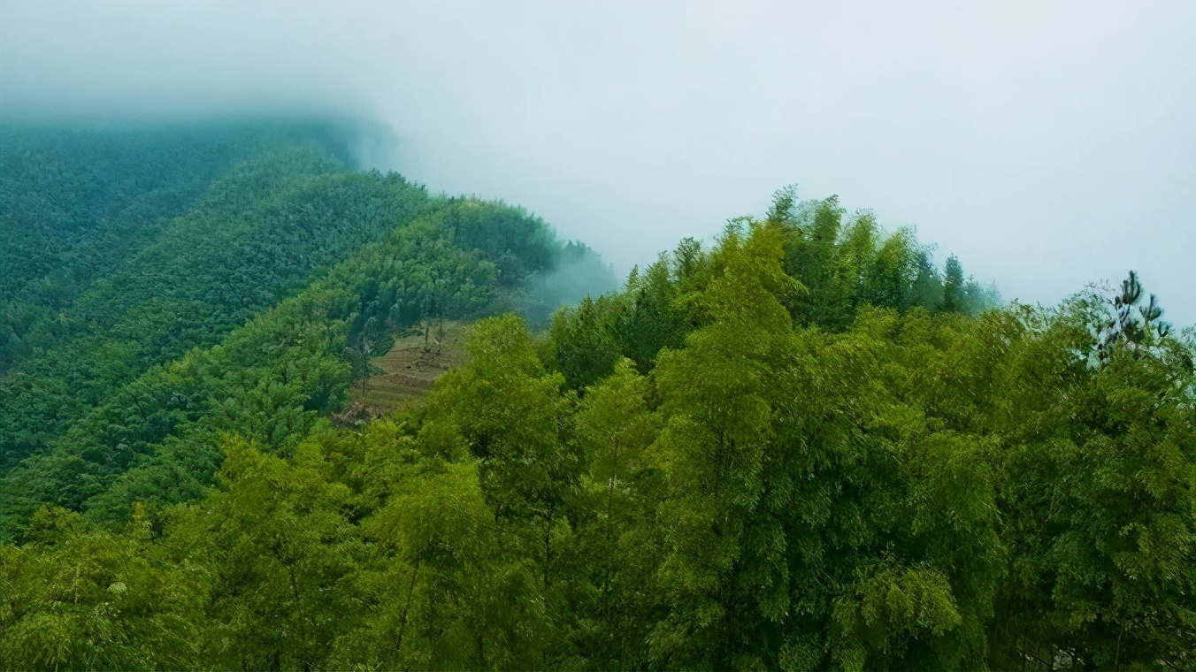 带着狗子旅行推荐,带着狗狗游新疆