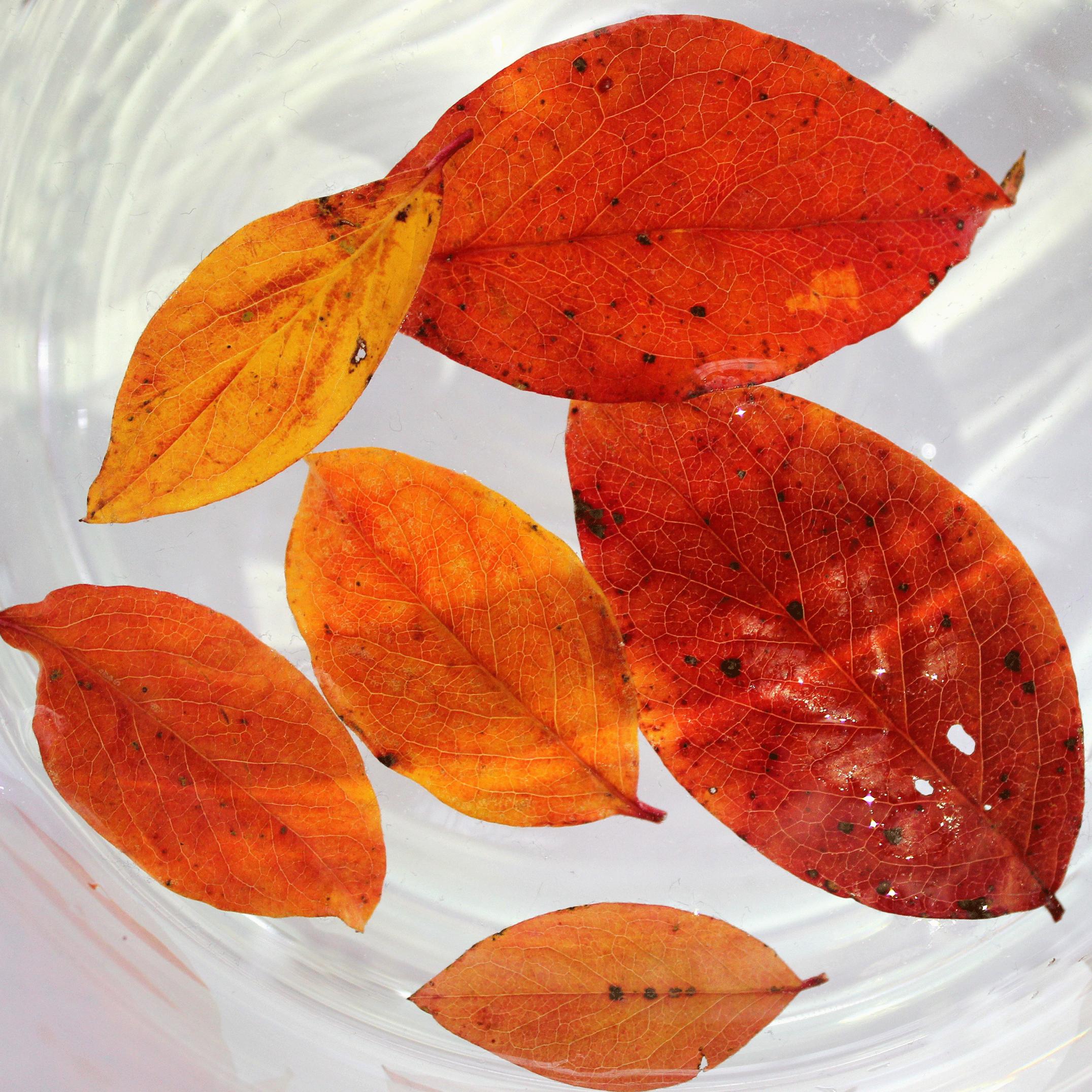 朋友圈相册封面微信,朋友圈相册封面