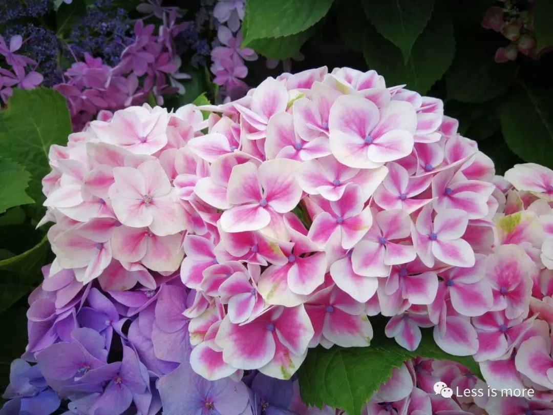 韩国济州岛超详细旅游规划攻略,韩国济州岛攻略自由行