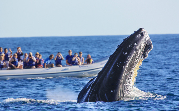 墨西哥玛雅遗址之旅,玛雅奇迹墨西哥之旅