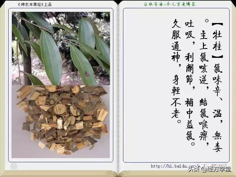 金方书院学习思辨录(一)原创:沧州二院马培锋