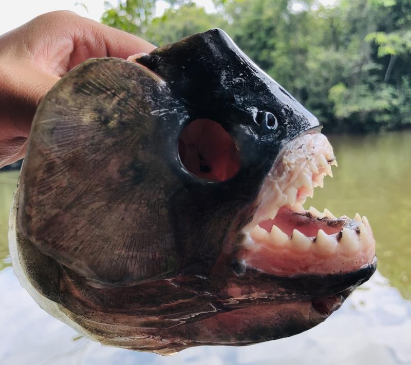 十年前,我只带了一根鱼竿出门,吃遍了世界上的各种顶级海鲜