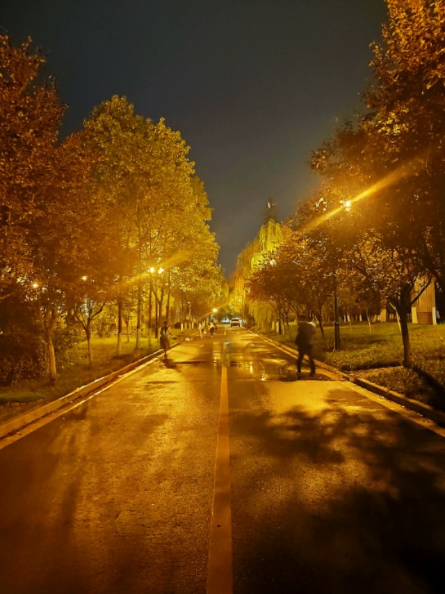 成都科学技术大学,四川成都大学