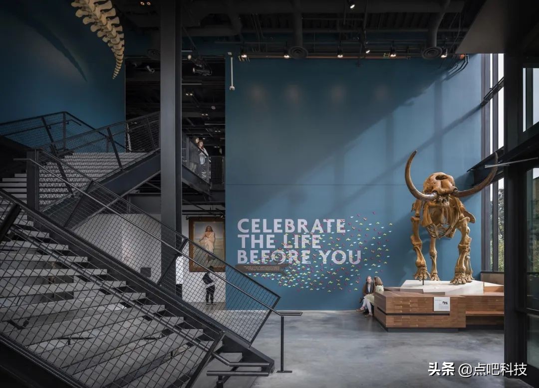 展馆案例设计思路,展馆视频制作案例