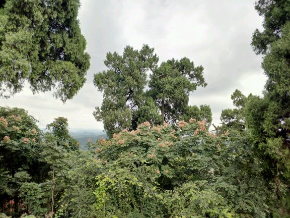 ［原创]实话乐至凤凰山╱刘兴福