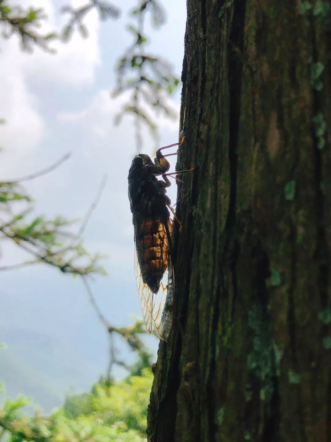 摩旅湘西八面山,湖南湘西摩旅川西