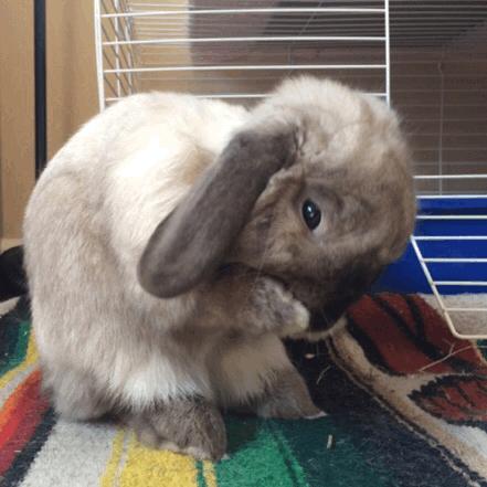 脚趾被撞一个星期了还有些疼,为什么脚趾砸到会那么痛