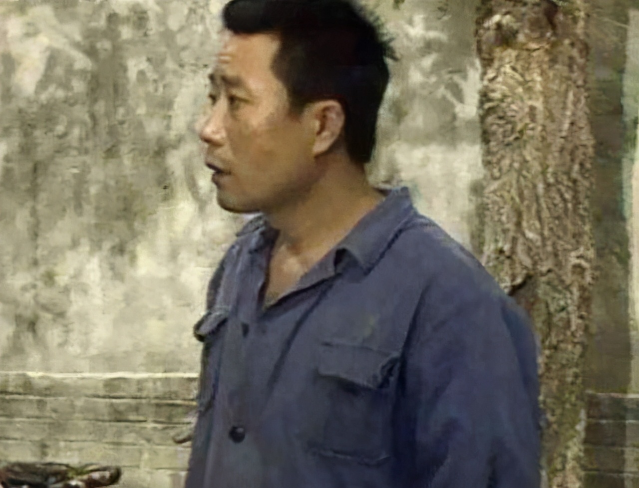 李雪健宋大成刘慧芳 (刘慧芳和李雪健)