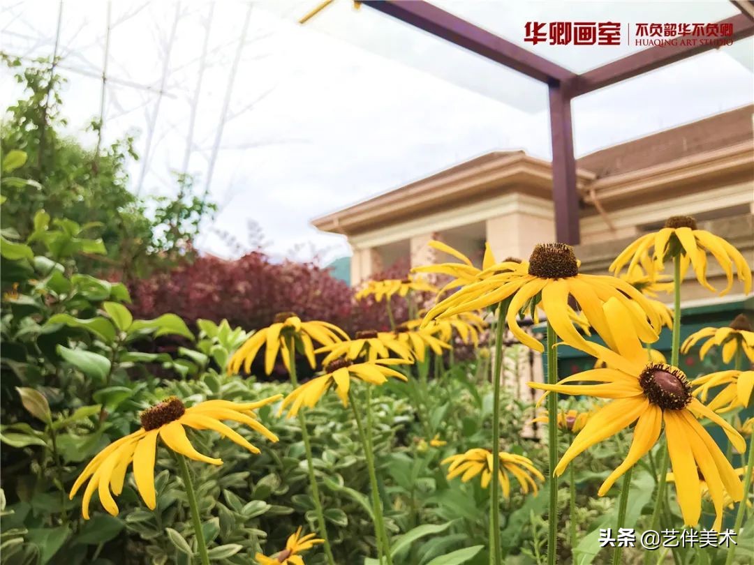 北京华卿画室2023成绩,在北京华卿画室参加美术培训好吗