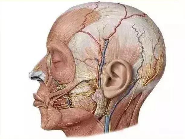 右眼皮一直跳还出车祸了,左眼皮一直跳然后出车祸